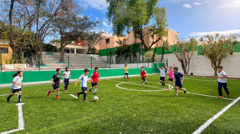 Primaria CIMA